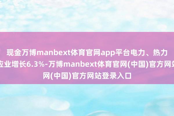 现金万博manbext体育官网app平台电力、热力分娩和供应业增长6.3%-万博manbext体育官网(中国)官方网站登录入口