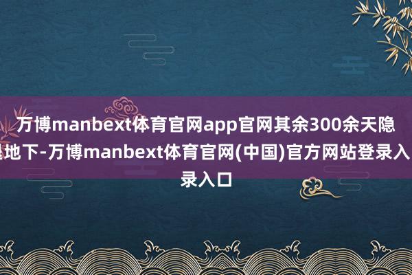 万博manbext体育官网app官网其余300余天隐退地下-万博manbext体育官网(中国)官方网站登录入口