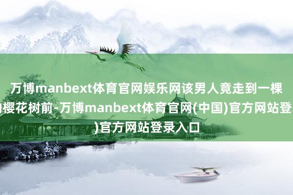 万博manbext体育官网娱乐网该男人竟走到一棵通达的樱花树前-万博manbext体育官网(中国)官方网站登录入口
