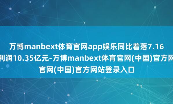 万博manbext体育官网app娱乐同比着落7.16%；归母净利润10.35亿元-万博manbext体育官网(中国)官方网站登录入口