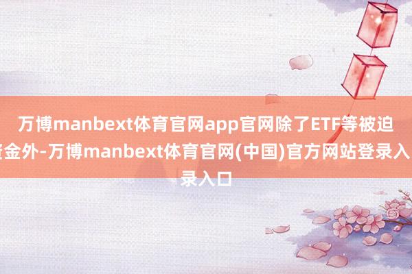 万博manbext体育官网app官网除了ETF等被迫资金外-万博manbext体育官网(中国)官方网站登录入口