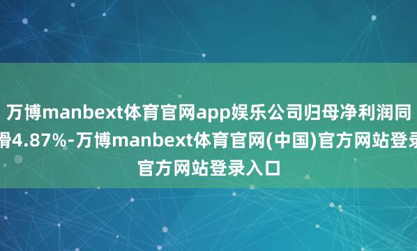 万博manbext体育官网app娱乐公司归母净利润同比下滑4.87%-万博manbext体育官网(中国)官方网站登录入口